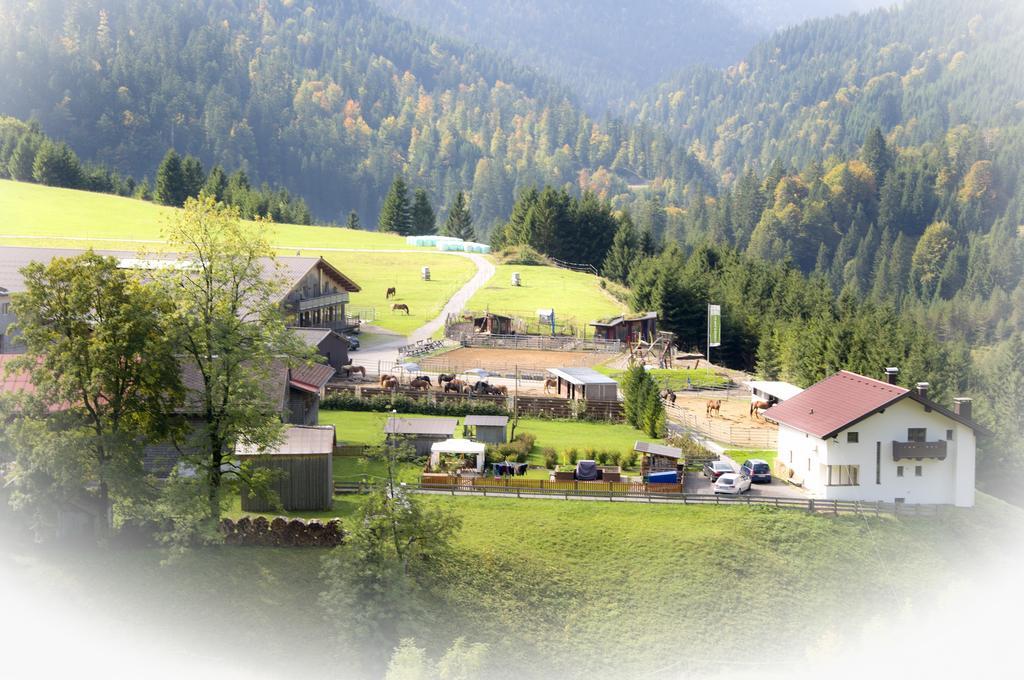 Reiterhof Berggut Gaicht Hotel เนสเซิลเวงเลอ ภายนอก รูปภาพ