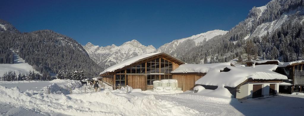 Reiterhof Berggut Gaicht Hotel เนสเซิลเวงเลอ ภายนอก รูปภาพ