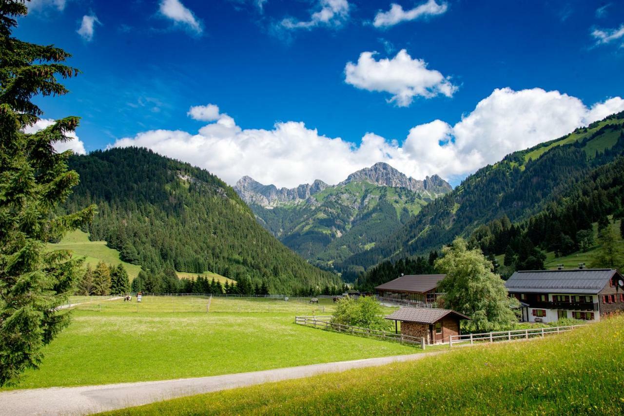 Reiterhof Berggut Gaicht Hotel เนสเซิลเวงเลอ ภายนอก รูปภาพ