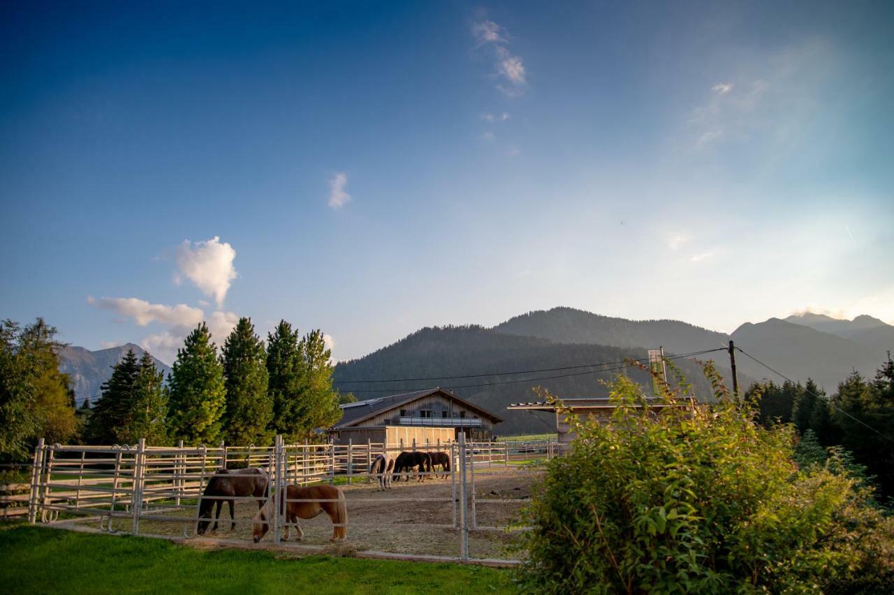 Reiterhof Berggut Gaicht Hotel เนสเซิลเวงเลอ ภายนอก รูปภาพ